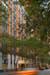433 E 56th Street