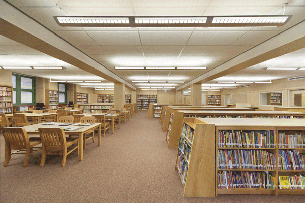 PS 196Q Addition
