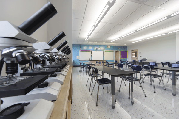 PS 196Q Addition