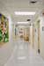 PS 234M Annex